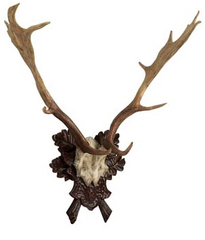 Resin Antlers On Oak Leaf Plaque