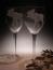 Etched Wine Glasses - Set of 2